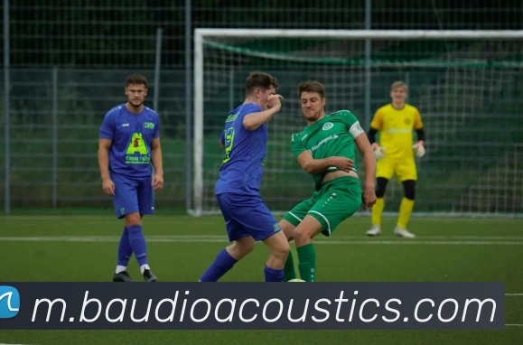 App Interface Preview